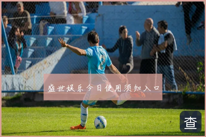 盛世娱乐今日使用须知入口